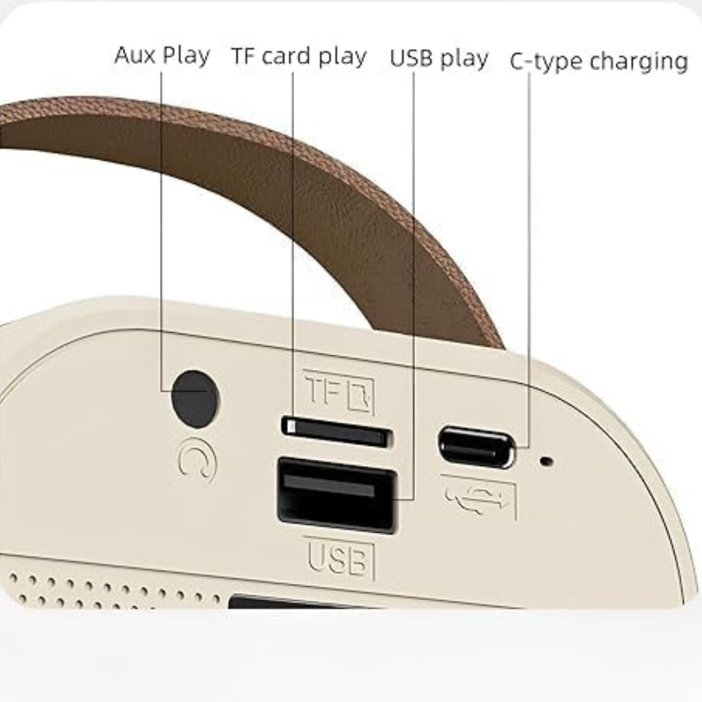 Portable Bluetooth Karaoke Speaker with RGB Lights , Controllable Battery and AI Voice Changer